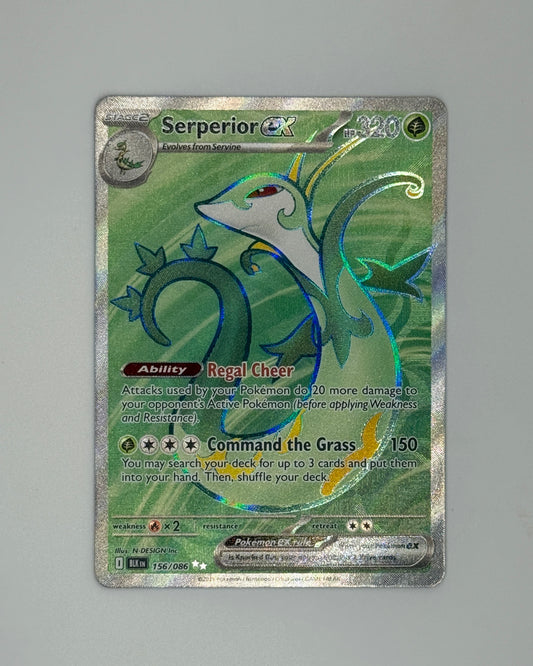 Pokemon Black Bolt Serperior ex